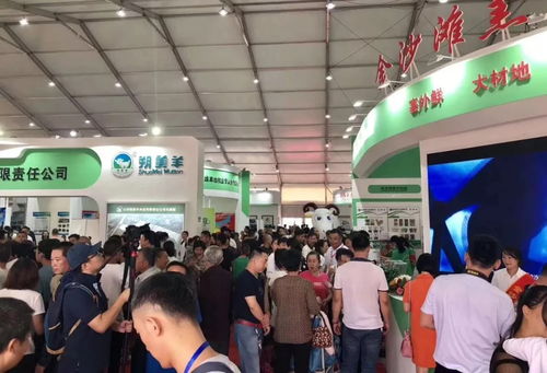 中天羊业荣获中国十佳羊肉品牌