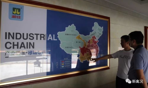 国鸡侣行丨湘佳牧业 两大秘诀实现生鲜国鸡销售9亿元