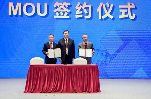 中韩企业家合作交流会在厦门成功举办 博宇佳业助力深化双边合作