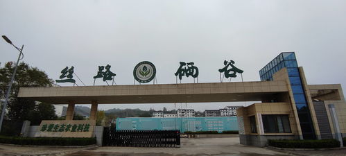 丝路硒谷香飘远 专家赋能谱新篇——安康市院士专家工作站现场会石泉行纪实