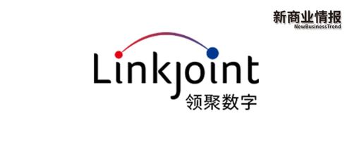 自主投放 品牌塑造, 领聚数字 为工厂出海打包解决方案 创公司